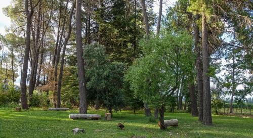 San Carlos Department House | Casa vinedos de Altamira