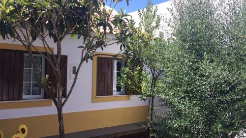 Cabecao House | Casa Zé Actor