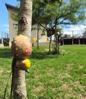 Bonito House | CasaAnacã Ecolounge