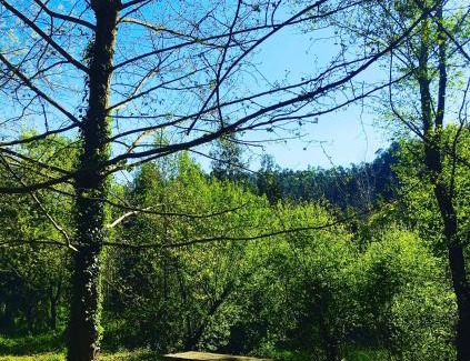 Angeja House | casadaeiradeangeja