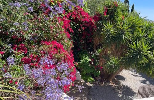 Nerja House | Casandalusí