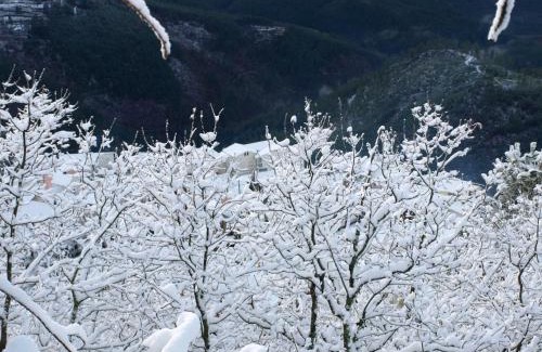 Lapa dos Dinheiros House | Casas do Soito