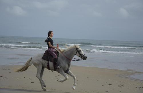 Parajuru House | Casas Ipanema