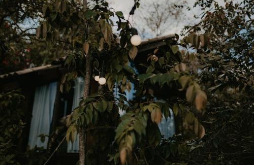 Lago Norte Apartment | Casas Lago Paranoá
