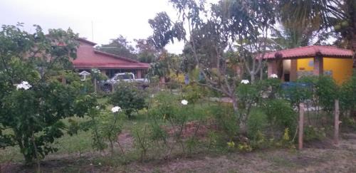 Mucuri House | Casas lindas no paraiso!