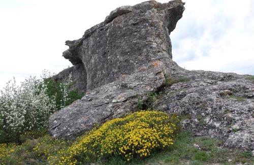 Cordovilla de Aguilar House | Casas Rurales El Mayorazgo