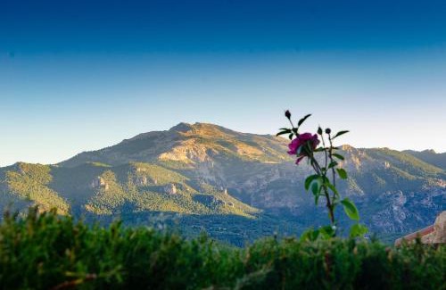 Majada Carrasca House | Casas Rurales Mirador del Mundo