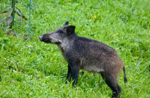 Ea Apartment | Caserío Ea