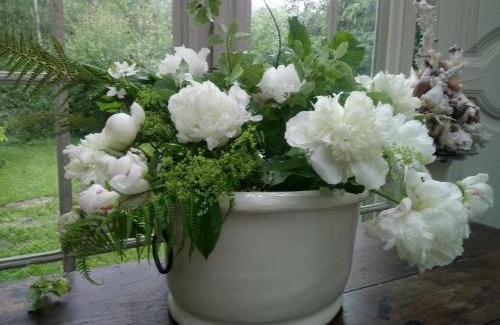 Hondarribia House | Caserta