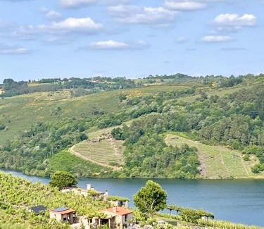 Chantada House | Casiña Raíz Entre viñas y cielo Ribeira Sacra