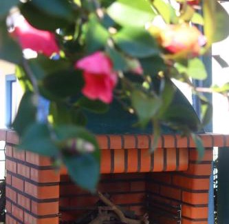 Salvaterra de Magos House | Casinha Robusto