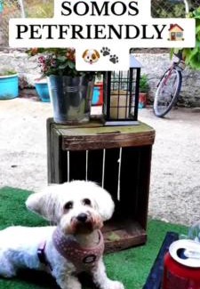 Tragacete House | CASITA LUAN