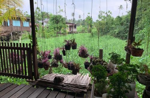 Pak Kret House | Cast Away