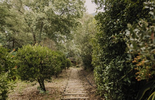 Olalhas House | Castelo de Bode Lake