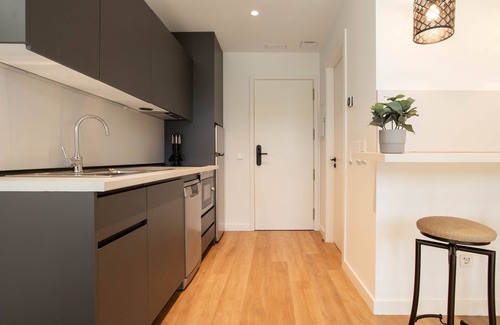 Adelfas Apartment | Catalina 102 apartment in Madrid