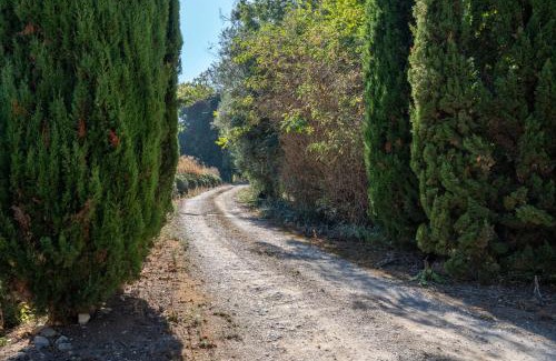 Ferrel Cabin | Cazal d'Oliveira