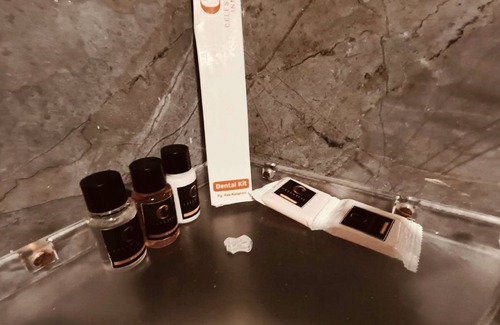 Allahabad Hotel | CELESTIAL INN