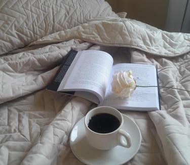 Coqueiral Apartment | Central 2 quartos WIFI Próximo shopping JL e terminal rodoviário