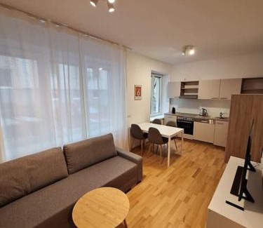 Innere Stadt Apartment | Central apartment with terrace and parking space