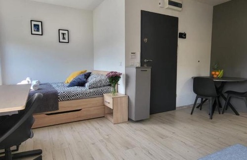 Srodmiescie Apartment | Centrum Prusa STUDIO 210