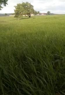 Riachao do Dantas House | Chacara Suíça sergipana