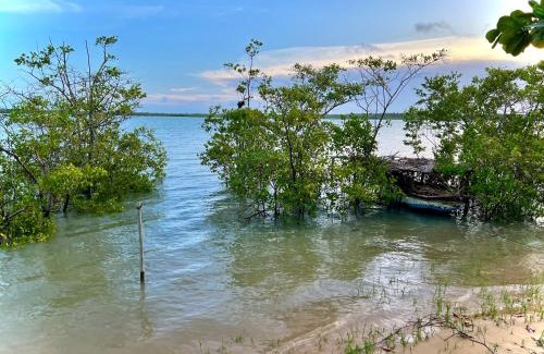 Caravelas House | Chalé Amarelo, conforto e muita natureza - Mar Doce!