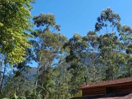 Timbe do Sul Ski Chalet | Chalé Casa de Pedra, Vivenda Serra Velha, Chalés de Montanha
