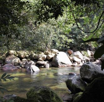 Ponte Branca House | Chalé Completa com Garagem e Rio Privativo no quintal I 14min do Centro Histórico e Praias - Ambiente tranquilo e bem Avaliado
