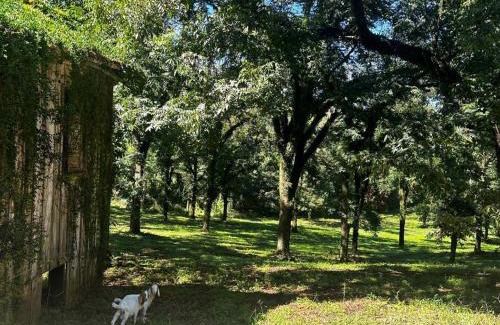 Anta Gorda Ski Chalet | Chalé Da Pecan