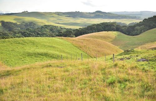 Cambara do Sul House | Chalé Vista do Vale