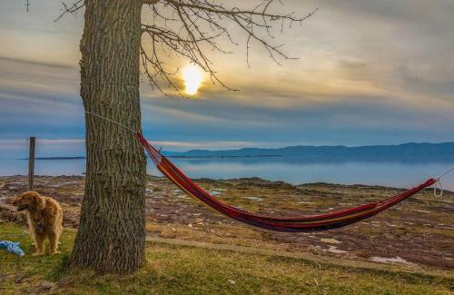 Cap-Saint-Ignace Ski Chalet | Chalet #9 Waterfront with Spa Fireplace Wifi & AC