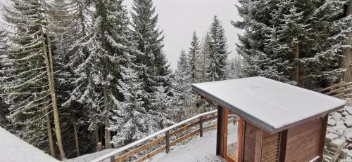 Albeck Apartment | Chalet Alpl - Ferienwohnung Waldblick mit Sauna, Kamin & Whirlwanne