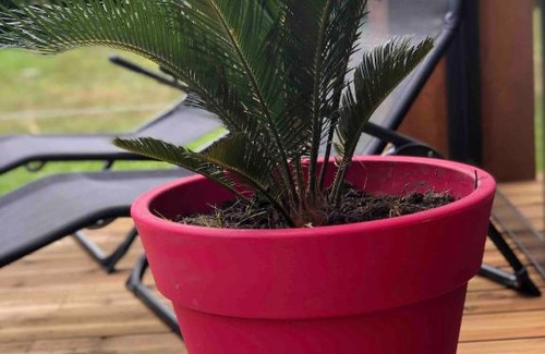 Saint-Lo-d'Ourville House | chalet atypique proche Portbail Denneville