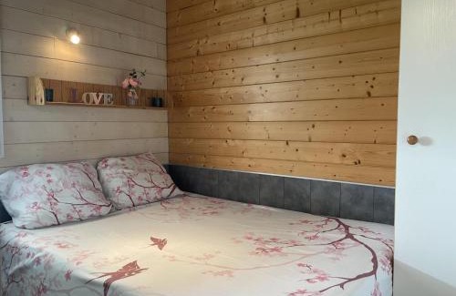 Pierrefitte-sur-Loire House | Chalet au bord de l'eau avec terrasse, pêche, baignade surveillée, buvette et activités extérieures - FR-1-489-360