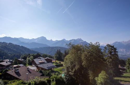 Chesieres Ski Chalet | Chalet Chalet Domino by Interhome