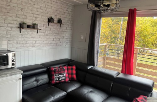 Clarke City Ski Chalet | Chalet chez Mayan et Doly Dogs welcome