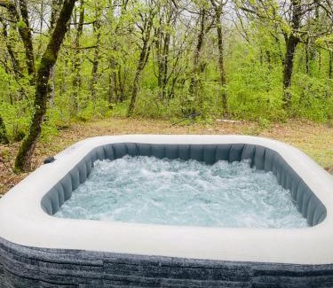 Roussayrolles Ski Chalet | Chalet Dalo cosy spa privé