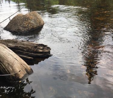 Saint-David-de-Falardeau Ski Chalet | Chalet du Versant Nord