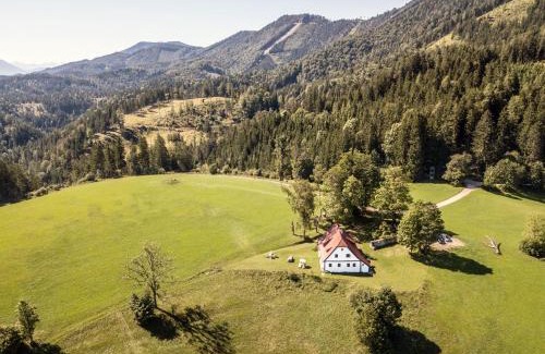 Lunz am See Ski Chalet | Chalet Hinterbreiteneben