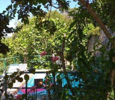 Aritzo Villa | Chalet Su Foxile