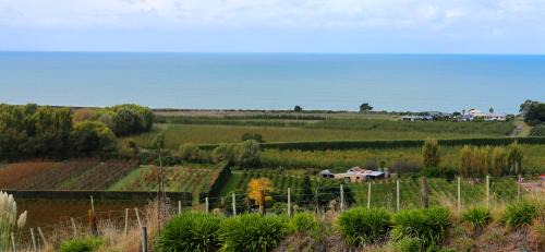 Napier Villa | Chalet Swen Song