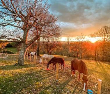 Arbus Bed & Breakfast | Chambre au cœur de la nature