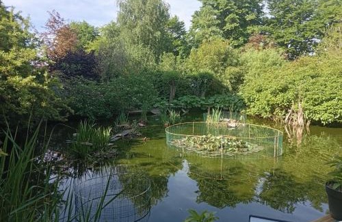 Saint-Pierre-de-Mailloc Bed & Breakfast | chambres d'hôtes naturistes de la moque souris