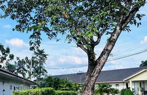 Si Racha Apartment | Chan Meung Resort