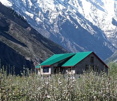 Keylong House | Chandra Bhaga homestay and campsite