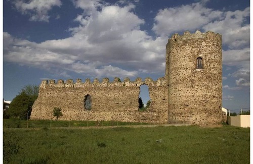 Palacios de la Valduerna Cottage | Charming house with 9 rooms