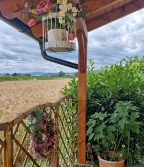 Cvetkovic Apartment | Charmdeen