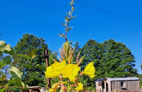 Karstadt Cabin | Charming 1-bedroom cabin in the fields near a small village.