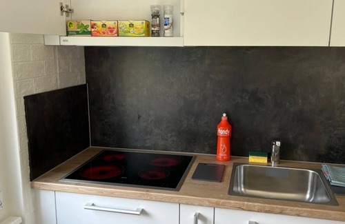 Matten bei Interlaken Apartment | Charming 2-bedroom apartment in marvelous Interlaken with WiFi and Parking