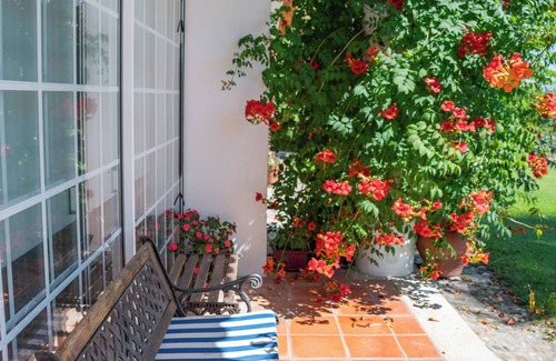 Santarem House | Charming peaceful beautiful house in a small village, only one hour from Lisbon.